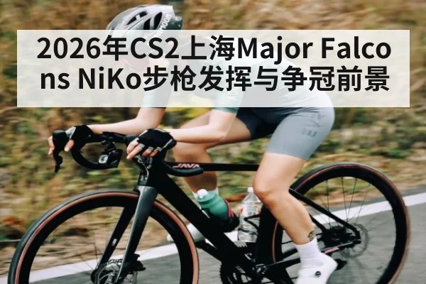 2026年CS2上海Major Falcons NiKo步枪发挥与争冠前景